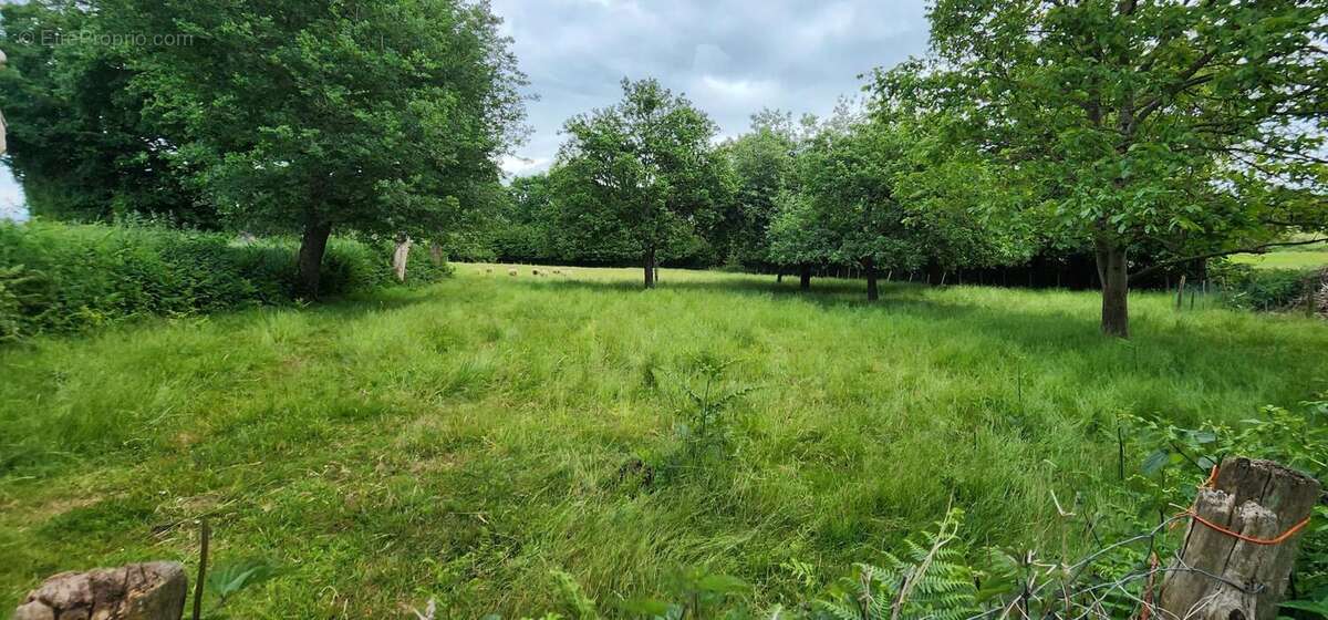 Photo 6 - Maison à MOISDON-LA-RIVIERE