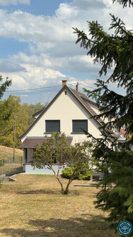 Kochersberg  ensemble immobilier sur 25 ares - photo 2