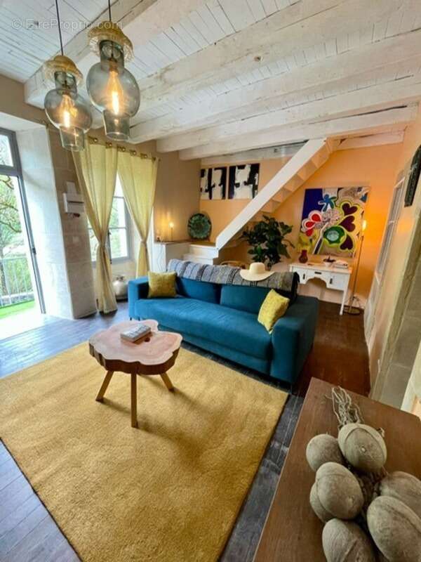 Maison à VIEILLEVIE