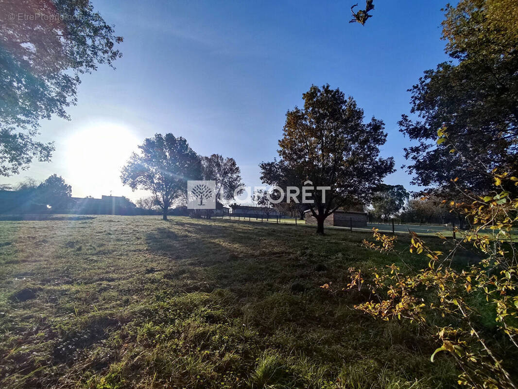 Terrain à PUYDANIEL