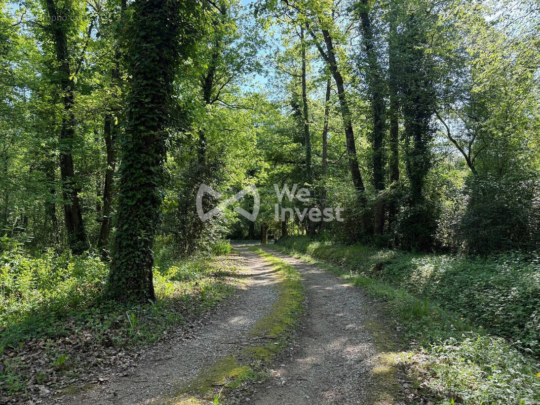 CHEMIN D'ENTREE - Maison à MARZENS