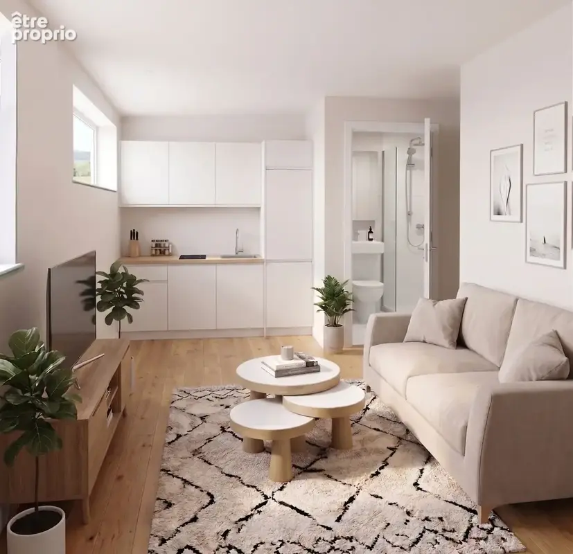 Appartement 1 pièce 18 m² à vendre à Villeurbanne (69100) - photo 5