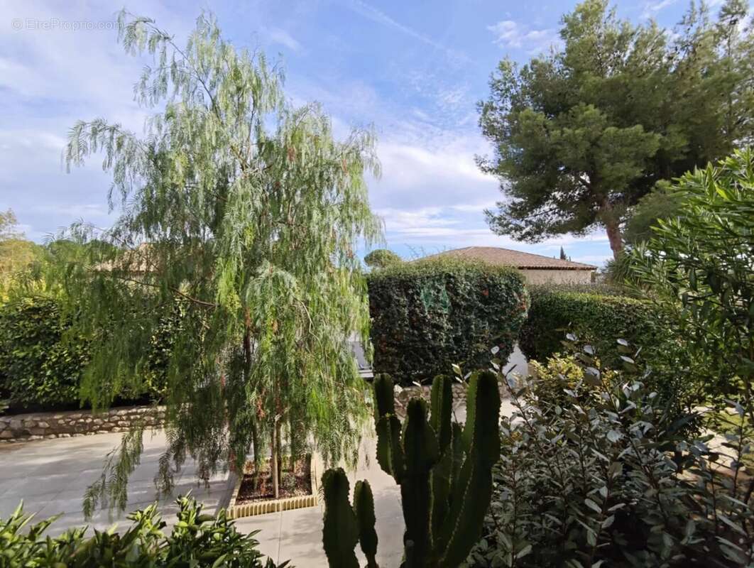 Maison à MIREPEISSET