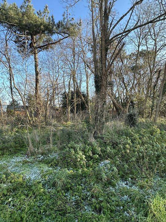 Terrain à GRAYAN-ET-L'HOPITAL