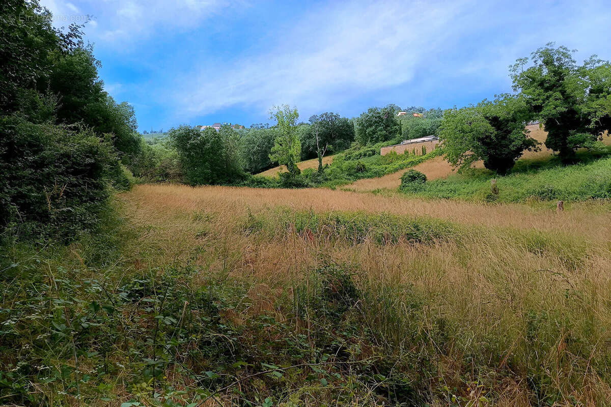 Terrain constructible de 4217 m²  à Mirandol Bourgnounac - photo 4