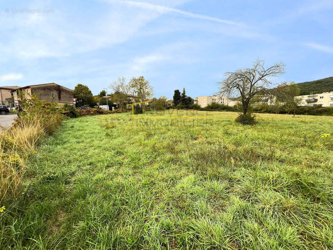 Terrain à LE TEIL