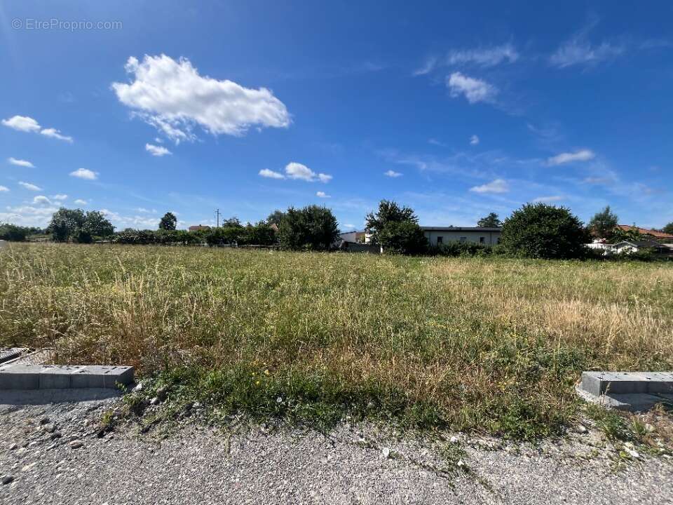 Terrain à BORDERES-SUR-L'ECHEZ