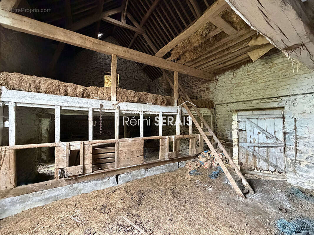 Maison à LA CHAPELLE-AU-MOINE