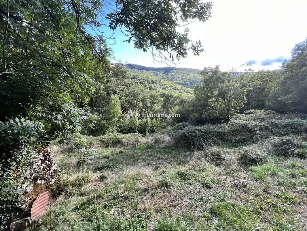 Terrain à SAINT-JEAN-DU-BRUEL