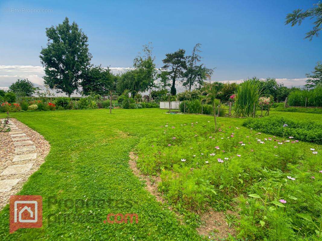 Maison à MONTIGNY-LA-RESLE