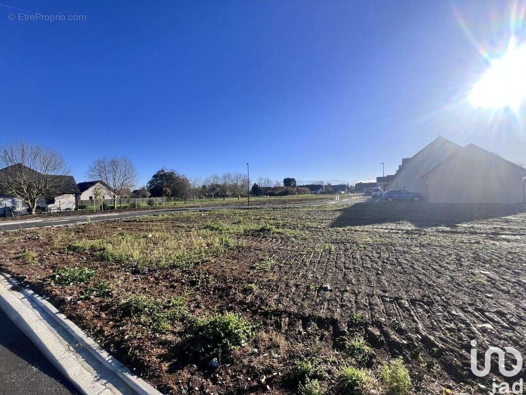 Photo 4 - Terrain à IBOS