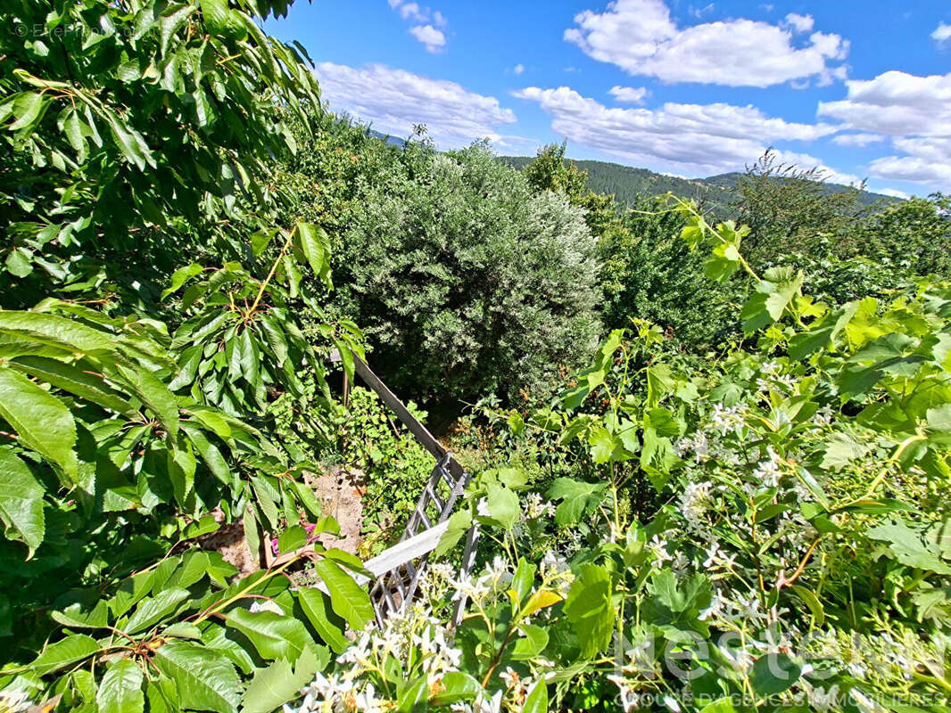 Immeuble à vendre à La Vernarède - 8 pièces, 143 m², terrain 1350 m² - photo 2
