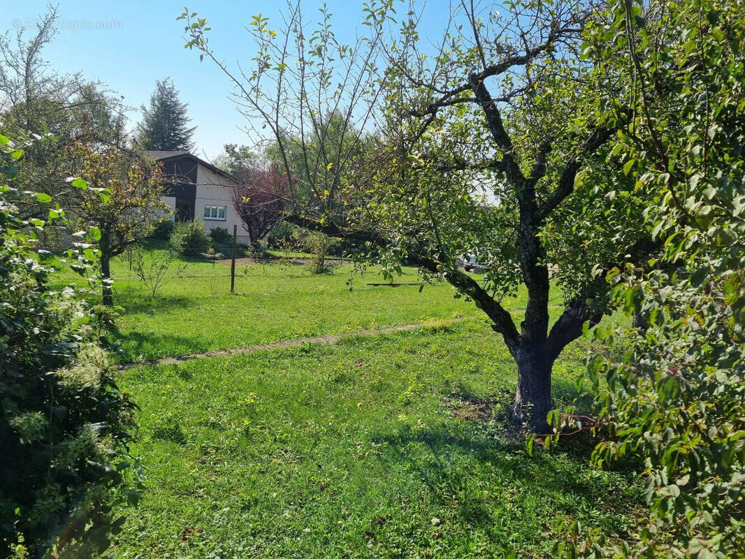 Terrain 704 m² à Sarrebourg  - photo 5
