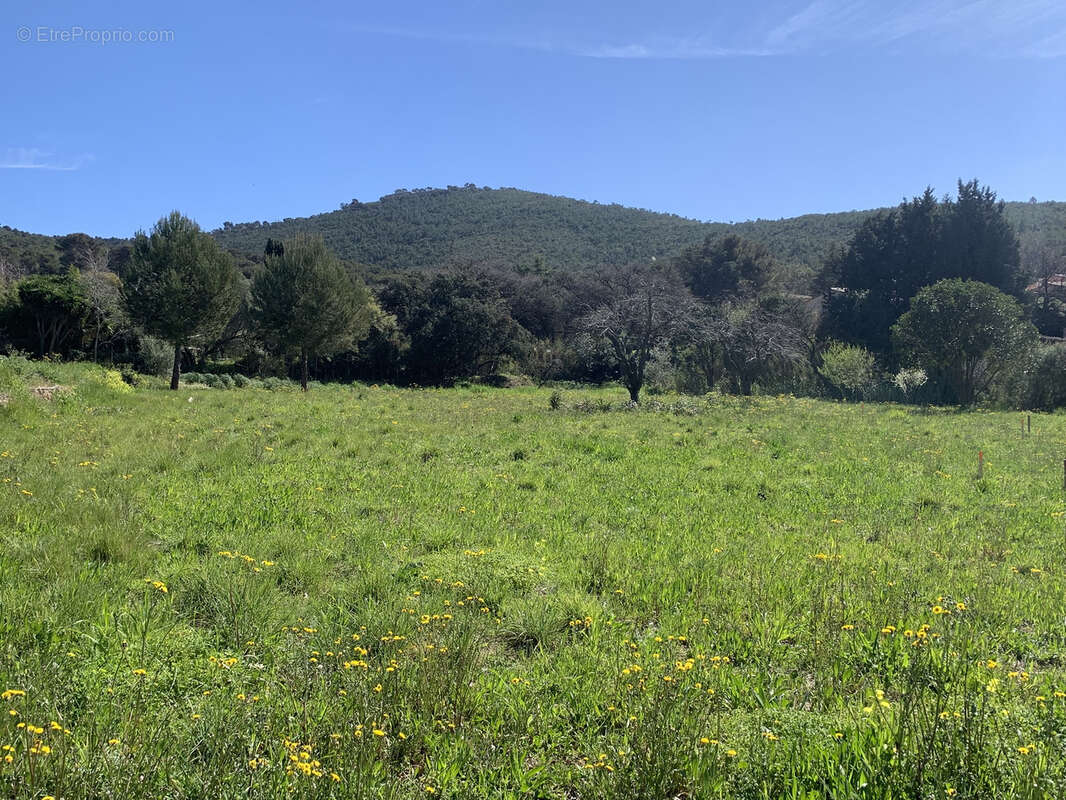 Terrain à LE PRADET