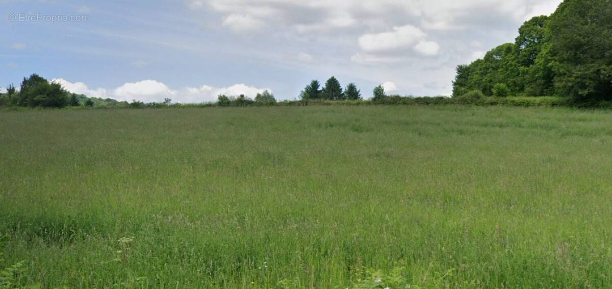 Terrain à CHATEAUNEUF-LA-FORET