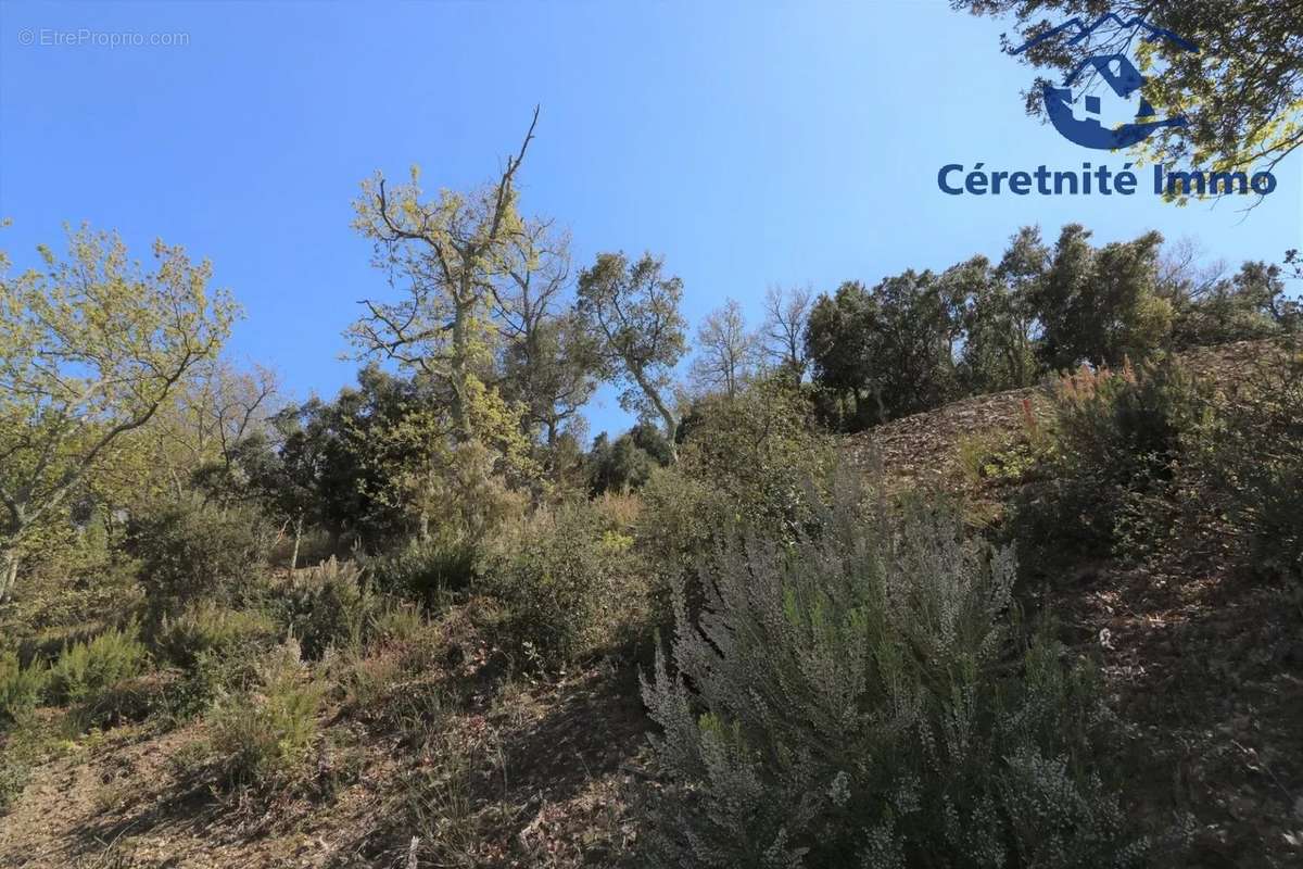 Terrain à TAILLET