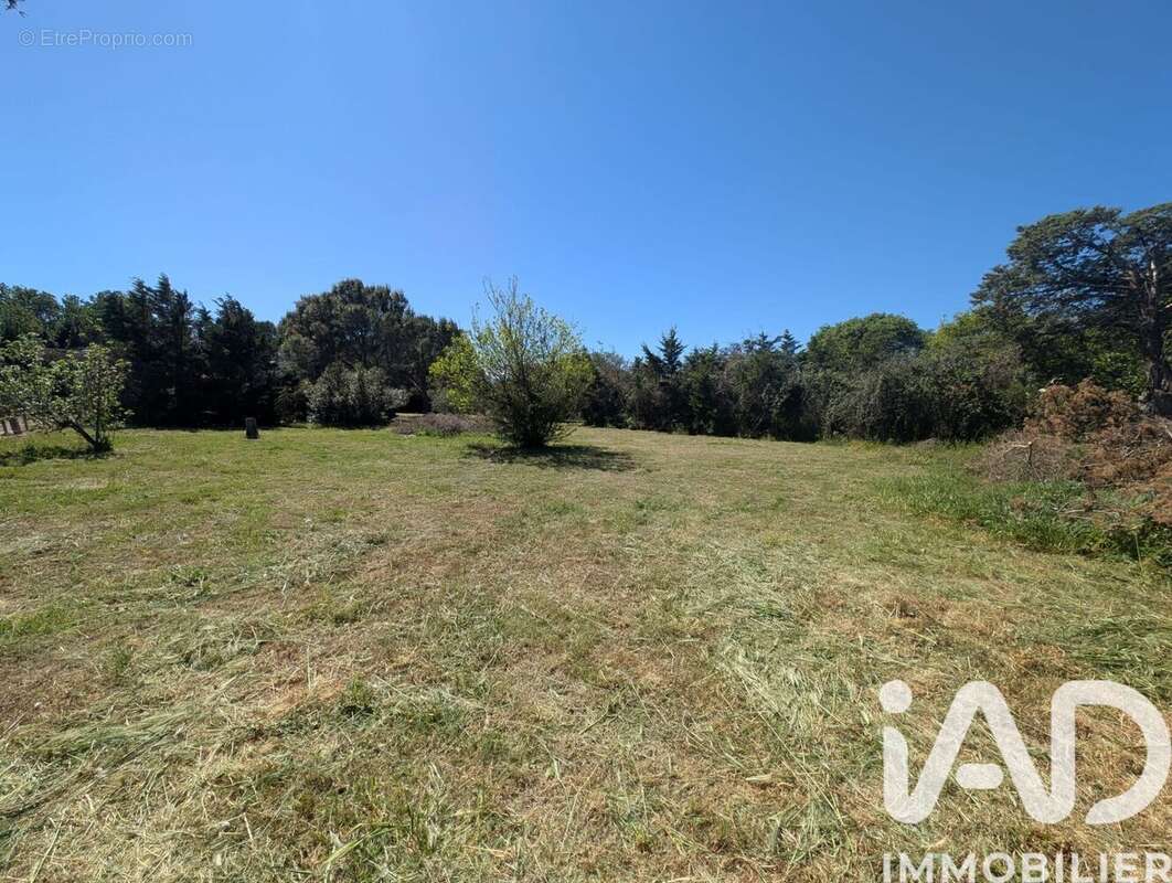 Photo 5 - Terrain à LE SOLER