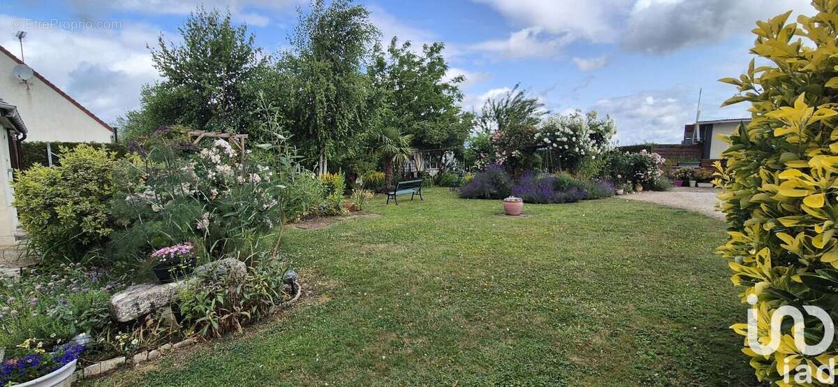 Photo 6 - Maison à FISMES