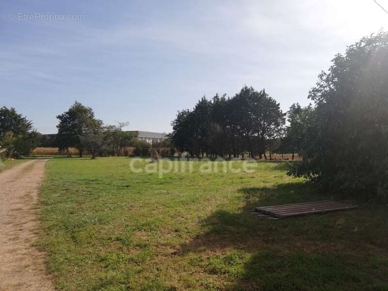 Dpt Sarthe (72), à vendre ALLONNES - POUR INVESTISSEURS - maison P6   SH 180m2 - terrain 2841 m2 - photo 4