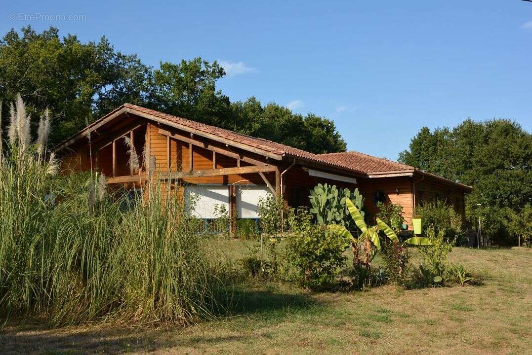 Maison 170 m² à Cazaubon  - photo 80