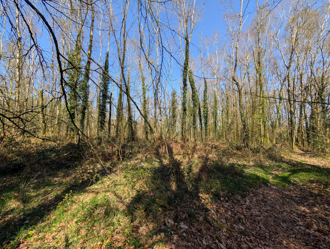 Terrain à CAMPENEAC