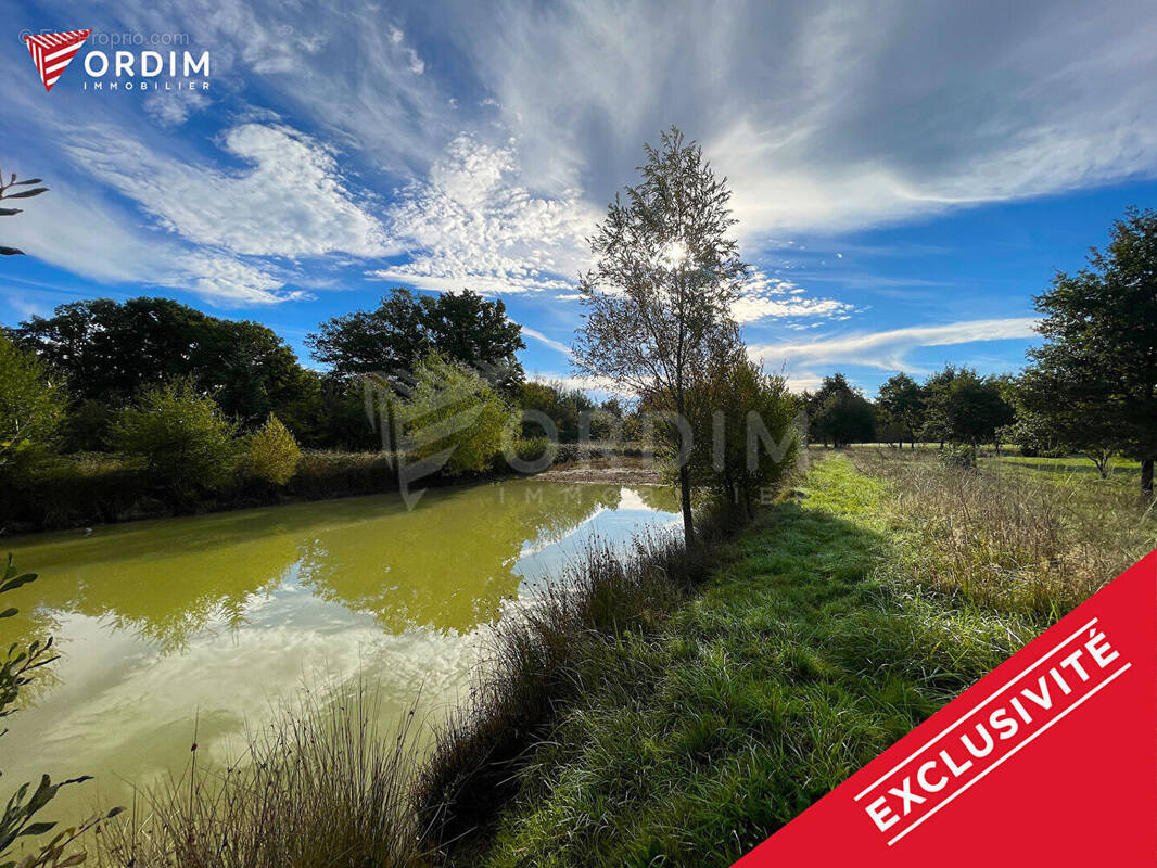 Terrain à SAINT-FARGEAU