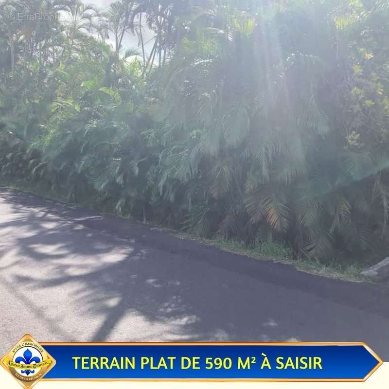 Terrain à SAINTE-ROSE