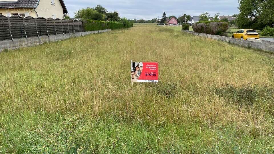 Terrain à BANTZENHEIM