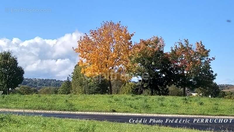 Commerce à CLERMONT-FERRAND