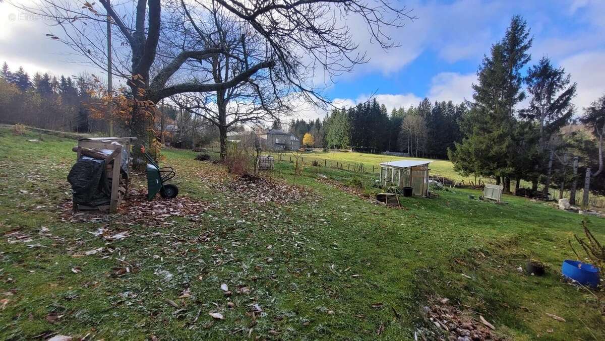 Maison à LE CHAMBON-SUR-LIGNON