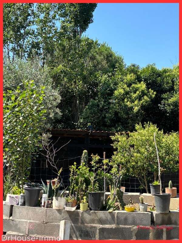 320 m² à Thuir  - photo 22
