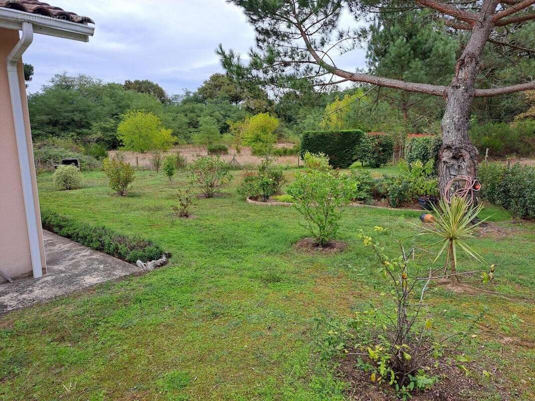 Photo 3 - Maison à ROQUEFORT