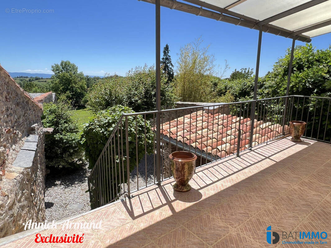 Terrasse Sud - Maison à MONTREDON-LABESSONNIE