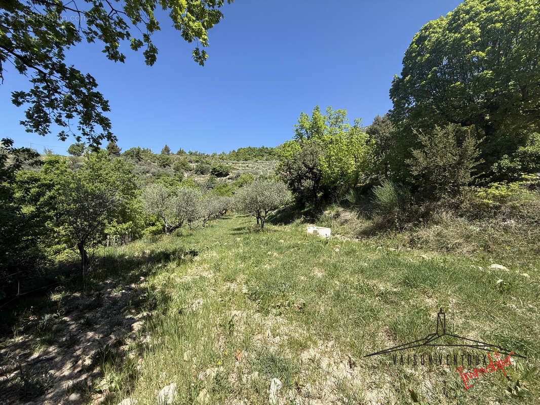 Maison en bois sur 2,- ha, situation exceptionnelle - photo 26