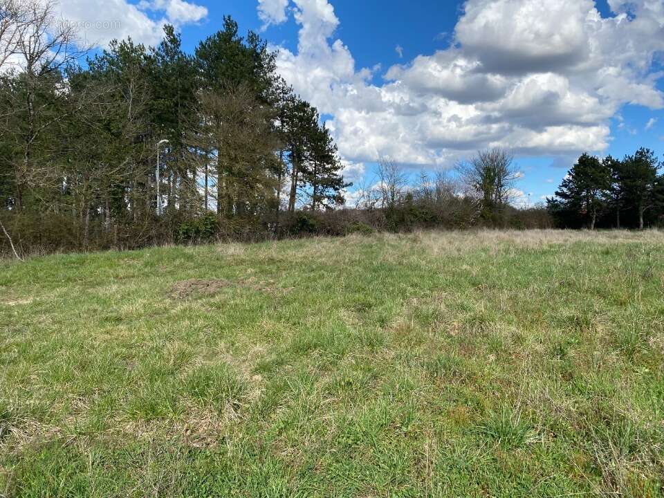 Terrain 611 m² à Tonnay-Boutonne  - photo 2