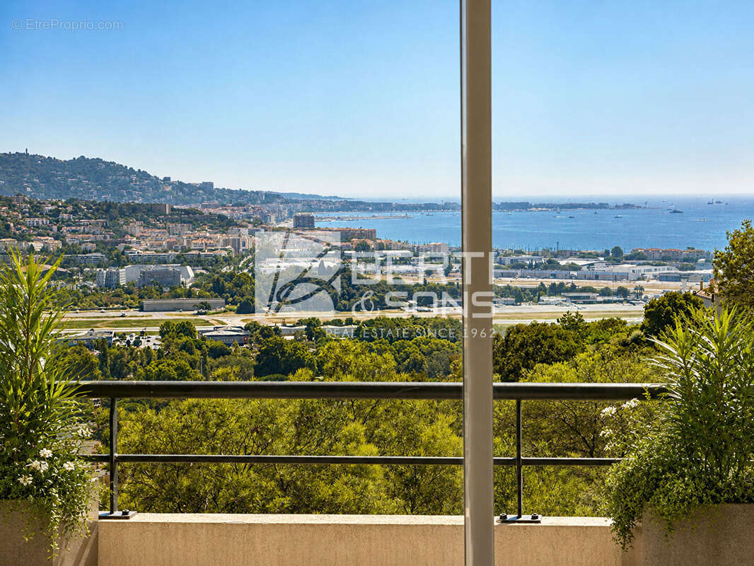 Exclusivité mandelieu, domaine bellevue 2 pièces 43,45 m² vue mer terrasse 16,55 m² - photo 2