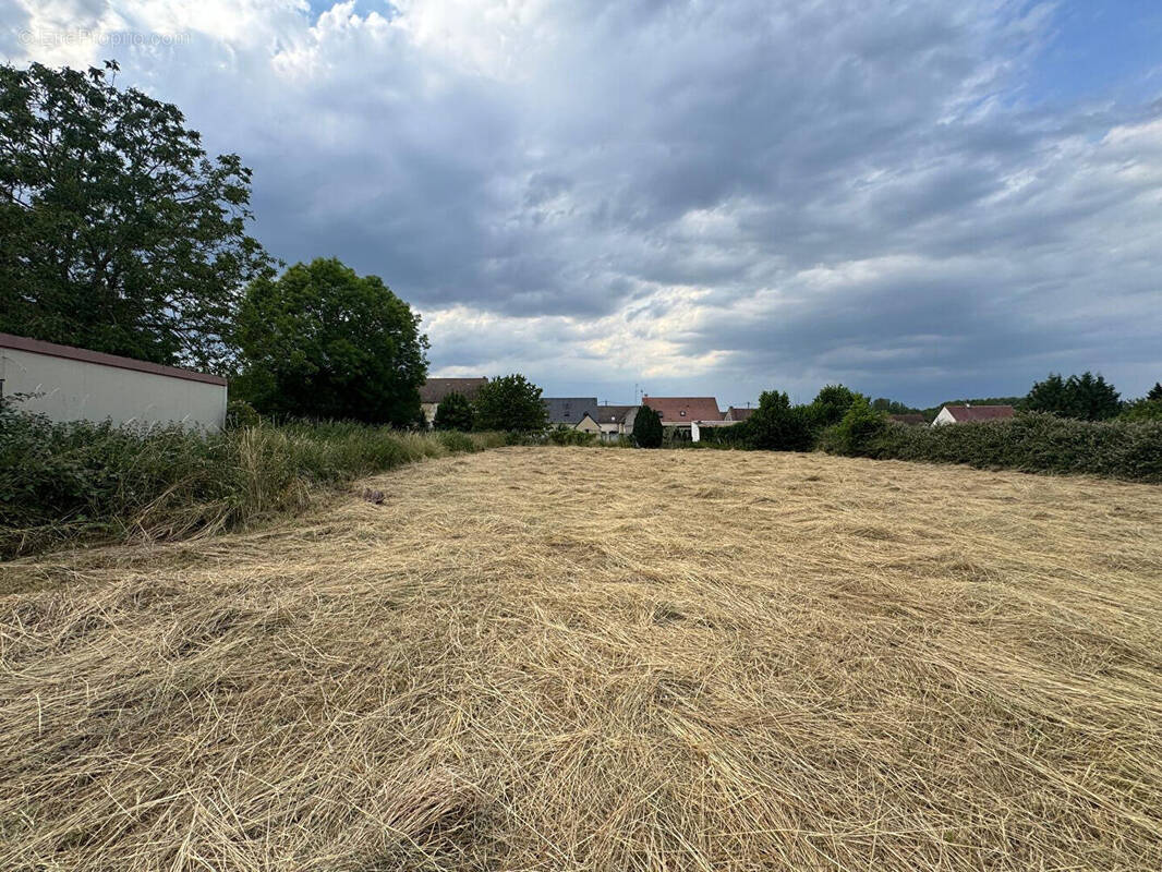 Terrain à BREUIL-LE-VERT