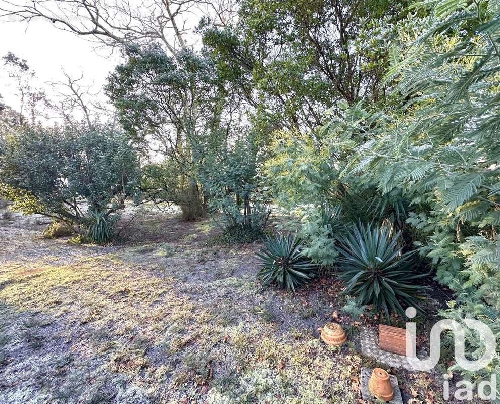 Photo 4 - Maison à ANDERNOS-LES-BAINS