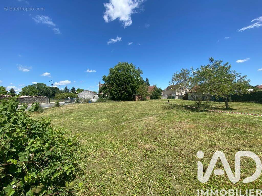 Photo 1 - Terrain à MORMANT