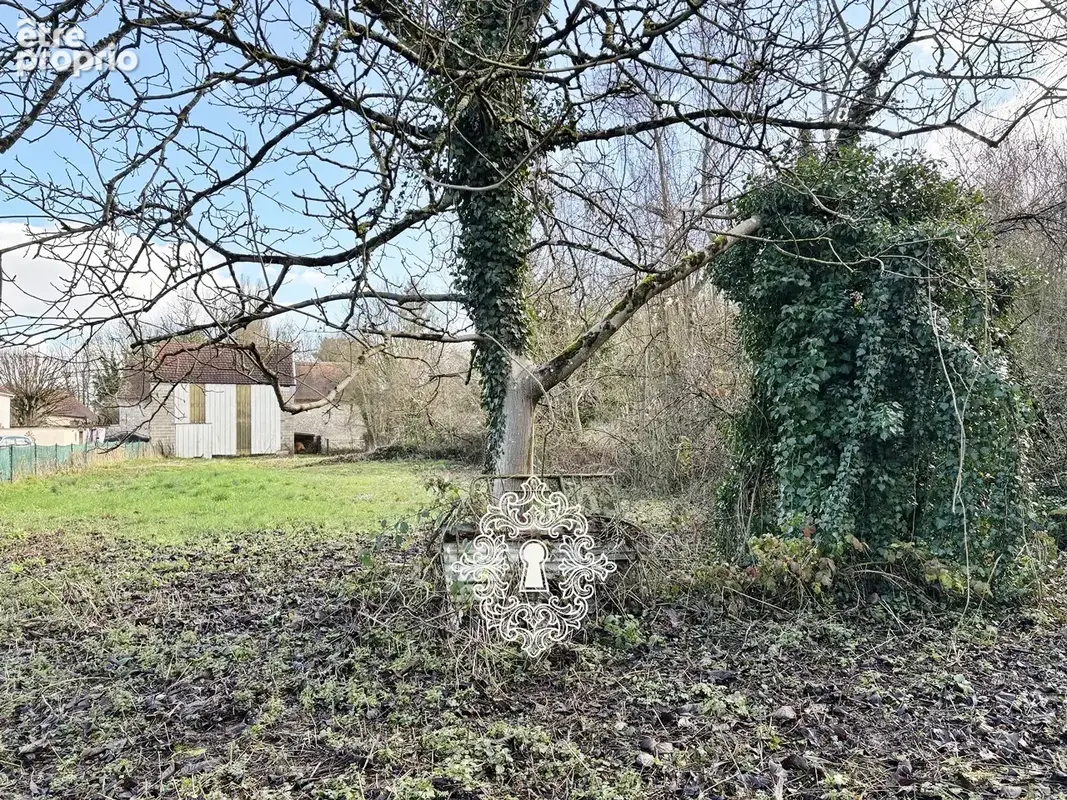 Région Bray sur Seine - photo 5