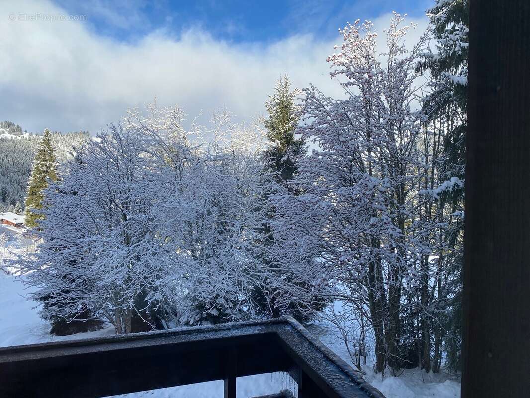 Appartement à TANINGES