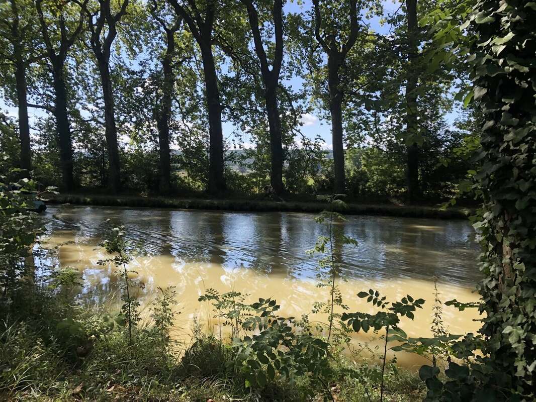 Château du XVIe siècle  avec 5,7 ha le long du Canal du Midi - photo 15