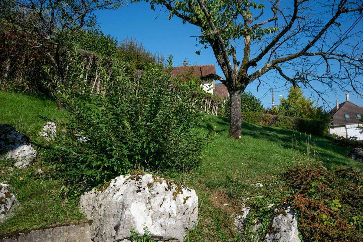 Maison à MONTBELIARD