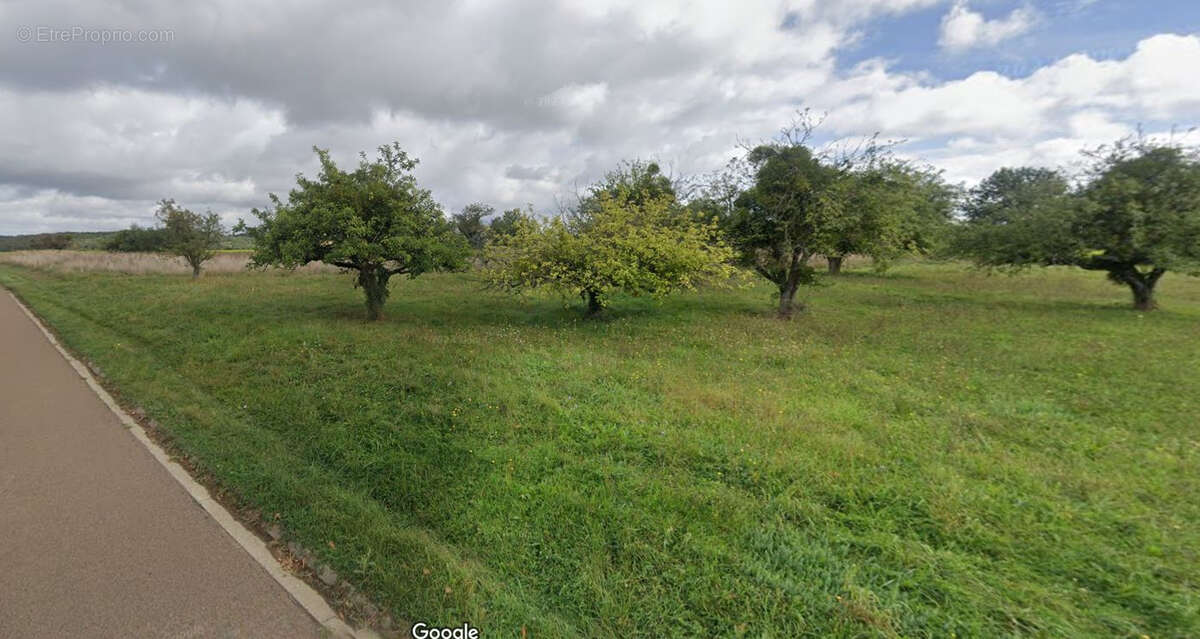 Terrain à PAISY-COSDON