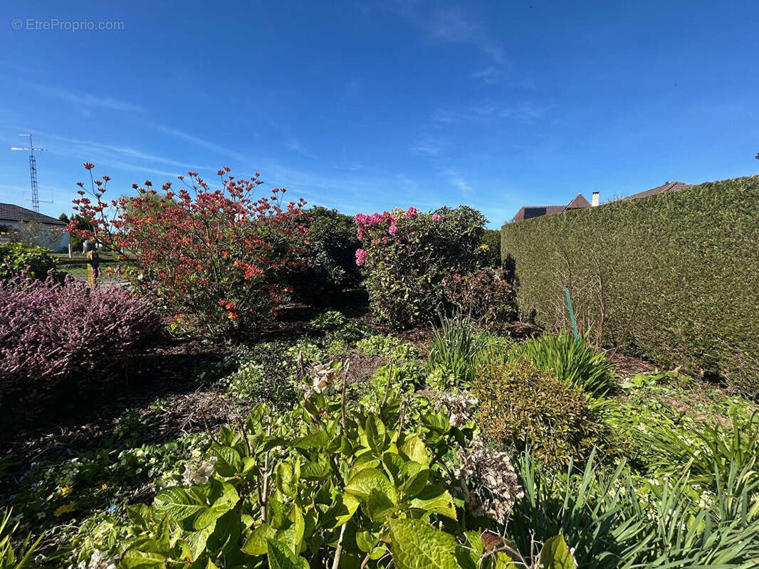 Maison à BOURG-ACHARD