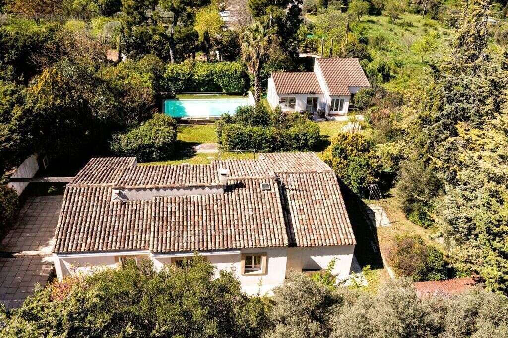 Terrain / Maison / Piscine / Pool House - photo 3