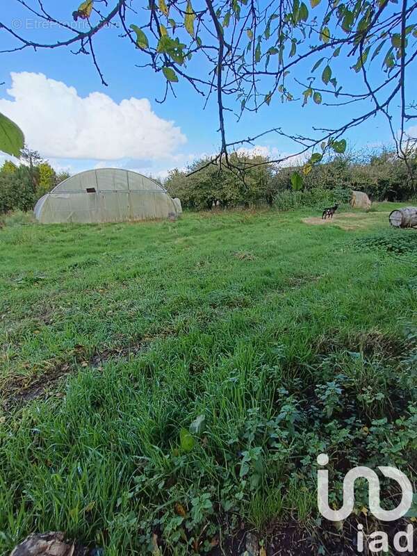 Photo 8 - Maison à SAINT-CONNAN