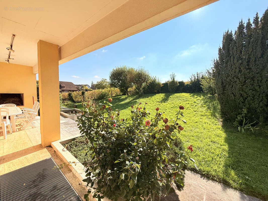 Maison à RIBEAUVILLE