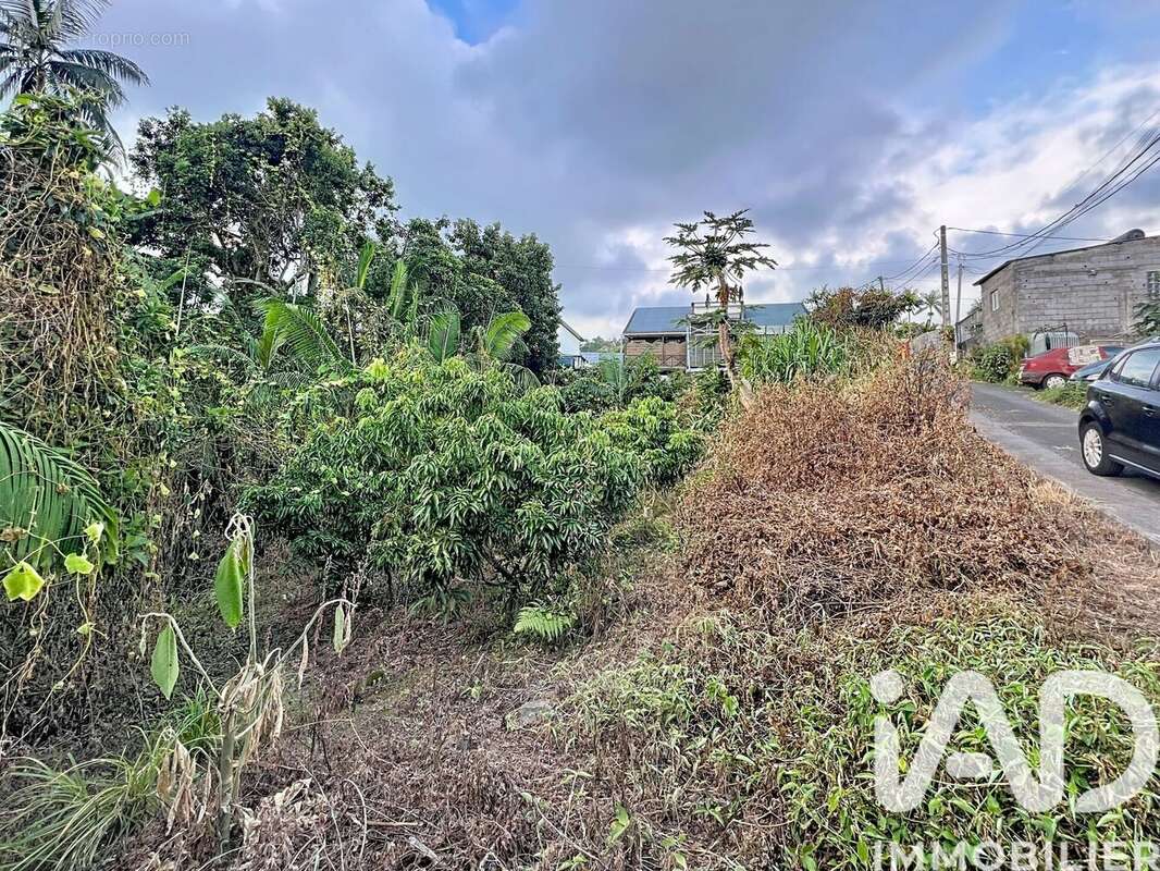 Photo 2 - Terrain à LE TAMPON