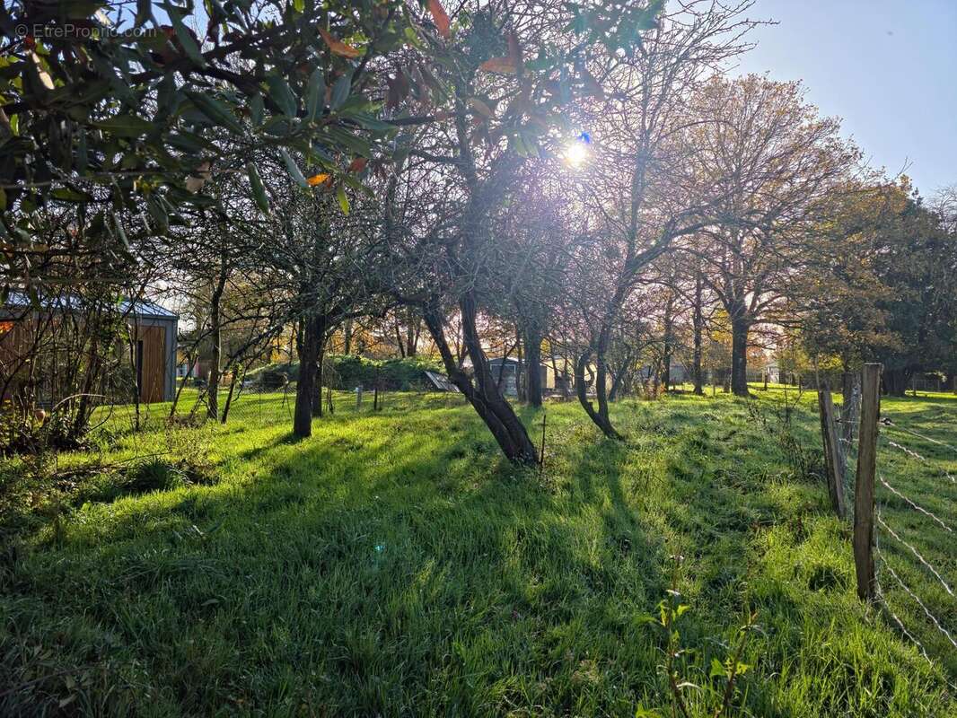 Photo 2 - Terrain à BLAIN